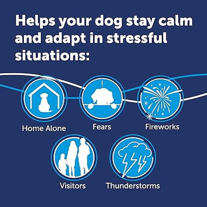 Dog Calming Diffuser Kit